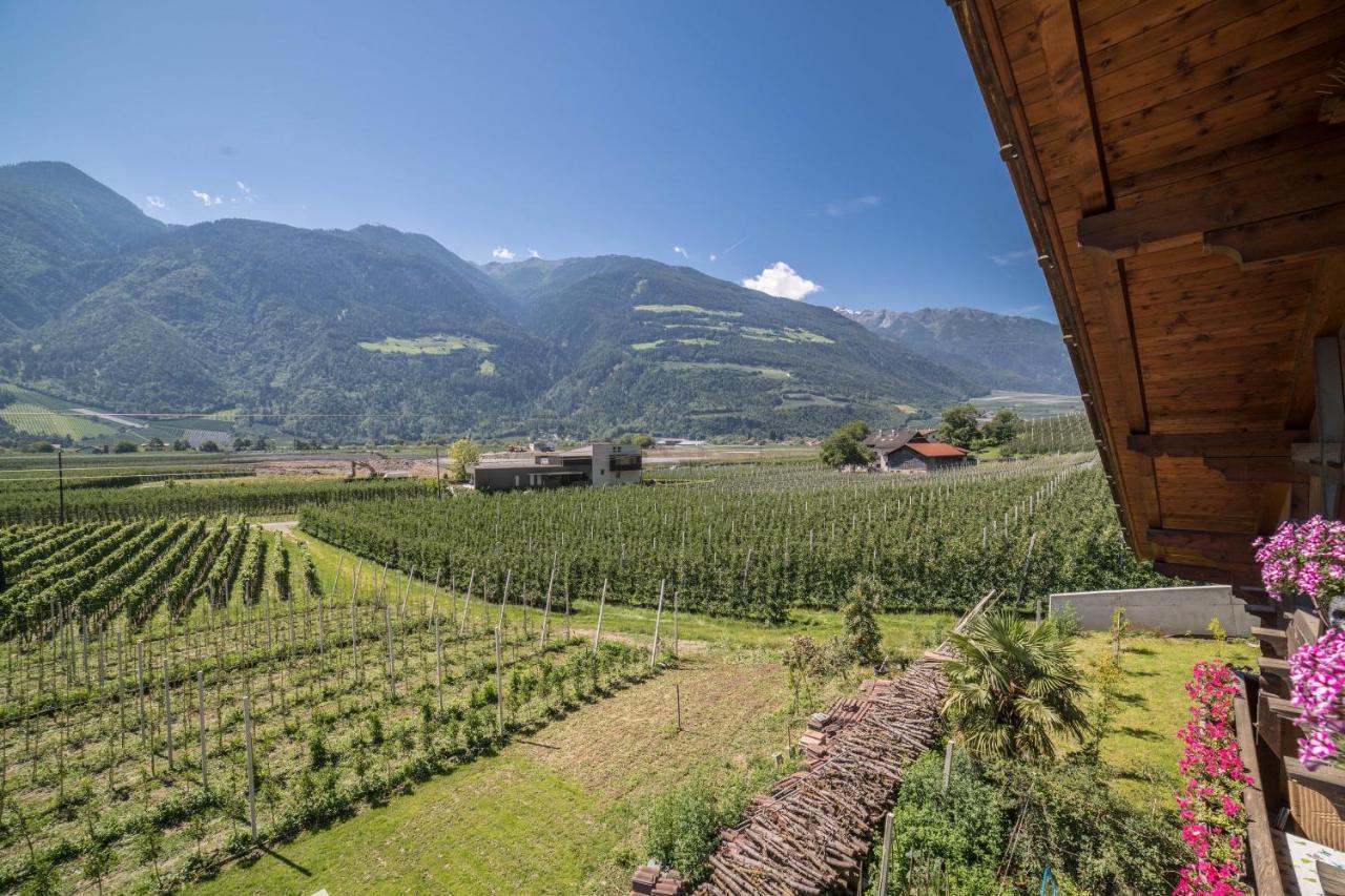Pixnerhof - Topaz Ciardes Exteriör bild